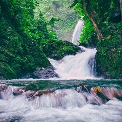 两条加强免疫路线并行，专家称已接种加强针人群不用进行序贯免疫