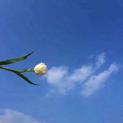 半岛·体育登陆入口截图3