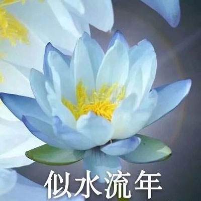 北单足球胜平负比分截图2