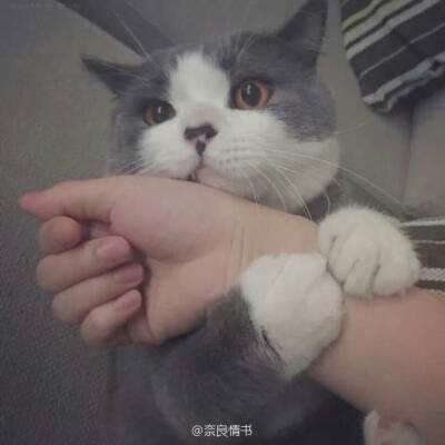 9u下载地址截图0