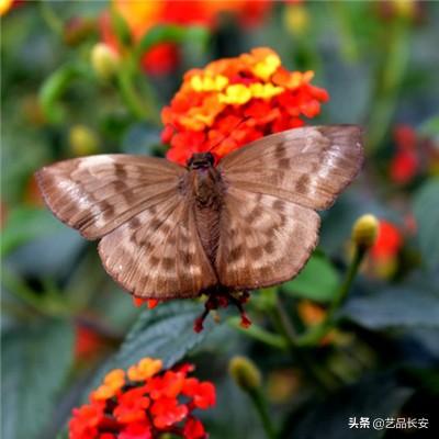 AG真人游戏怎么玩截图2