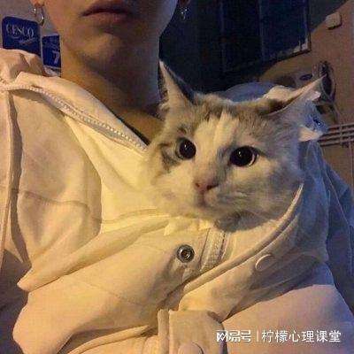 老凤凰平台正常登录截图1