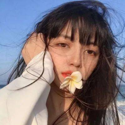 MS15截图2
