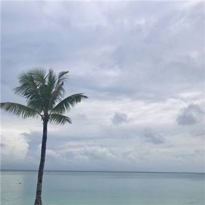 苹果网赌软件截图0
