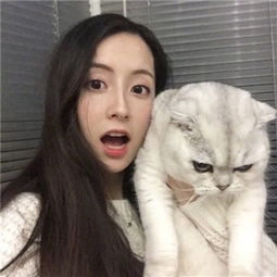 澳洲飞艇截图3
