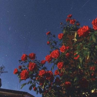 靠谱世界白菜交流吧截图0