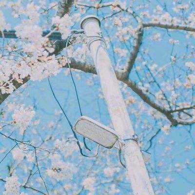 积分榜西甲积分榜截图1