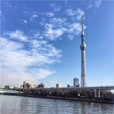 双赢彩票在线登录截图2