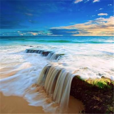 老虎机水果哪个最大截图1