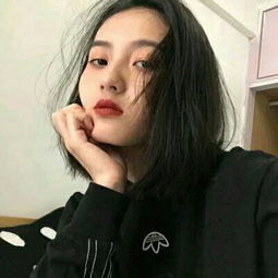 博贝下载截图4