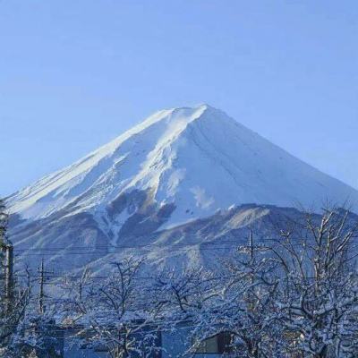 北京中国红杏第一乡平谷北寨村民因大风冰雹遭殃！请您伸援手