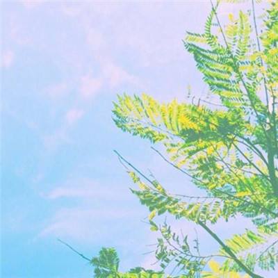 XBET星投|官网截图0