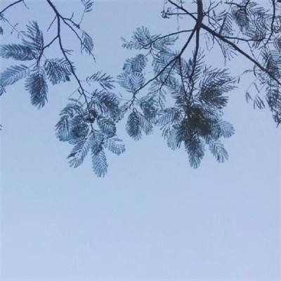靠谱的足球滚球平台截图3