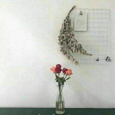 英雄联盟可以下注的网站截图4