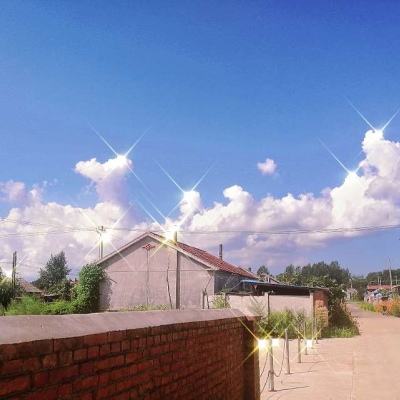 kok官网下载iosIOS截图0