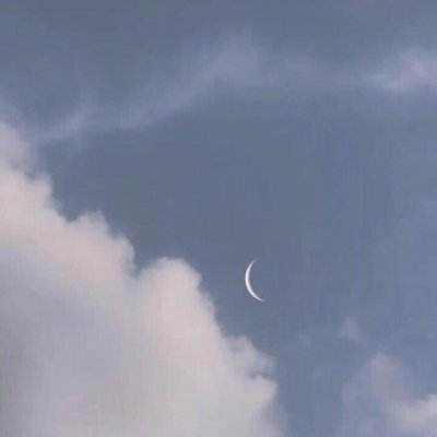 宝博体育官网地址截图0