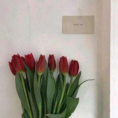 加拿大28pc历史开奖结果查询欧洲杯开户截图1