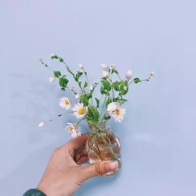 澳门彩历史开奖号码截图1