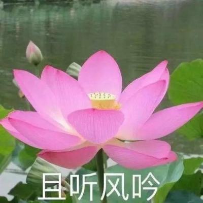 聚焦提高人民生活品质全面深化人力资源社会保障制度改革