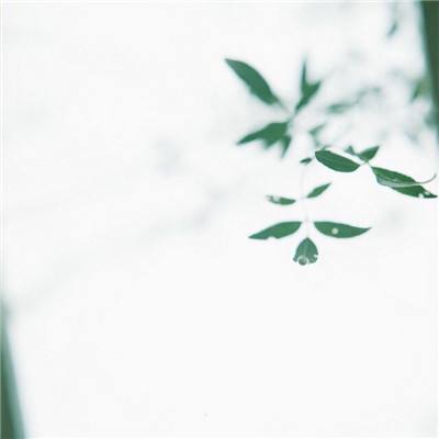 kok官网下载iosIOS截图4