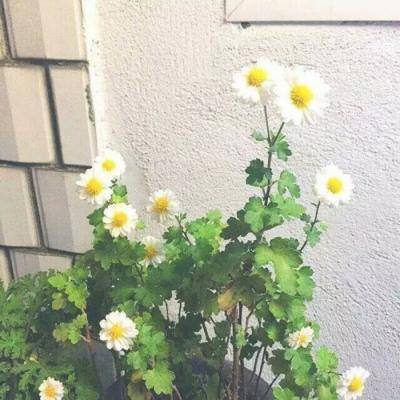 pg电子娱乐十大平台截图3