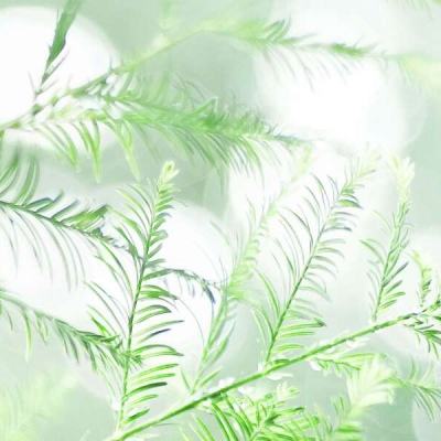 开云体育官网入口在线截图0