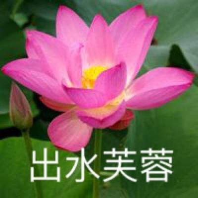 下载就送58元彩金截图1
