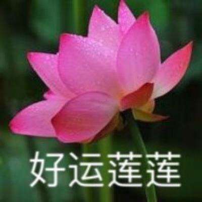 落“沪”能否拯救大唐？