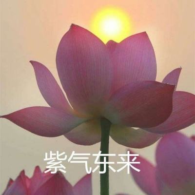 电子mg捕鱼王-电子mg捕鱼王安卓APP下载-欧洲杯截图3