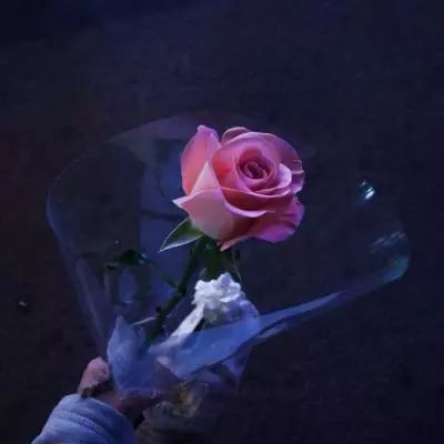 麻将胡了2在线试玩截图2